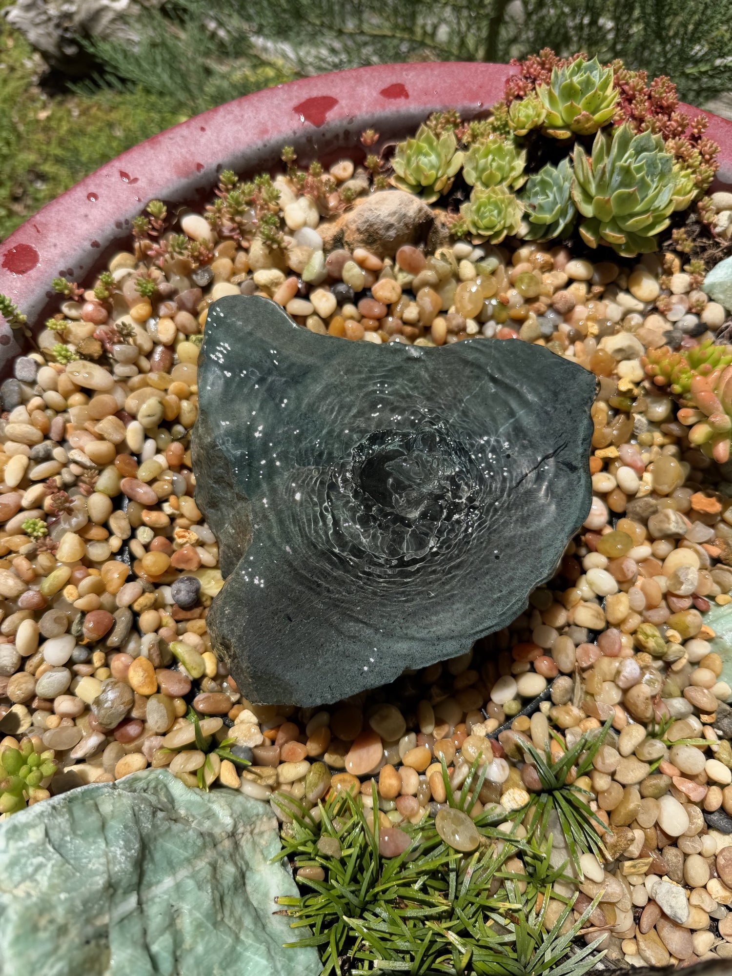 Hand-Polished Stone Bird Bath - Smooth River Rock for a Bubbling Fountain (7"x7"x2")