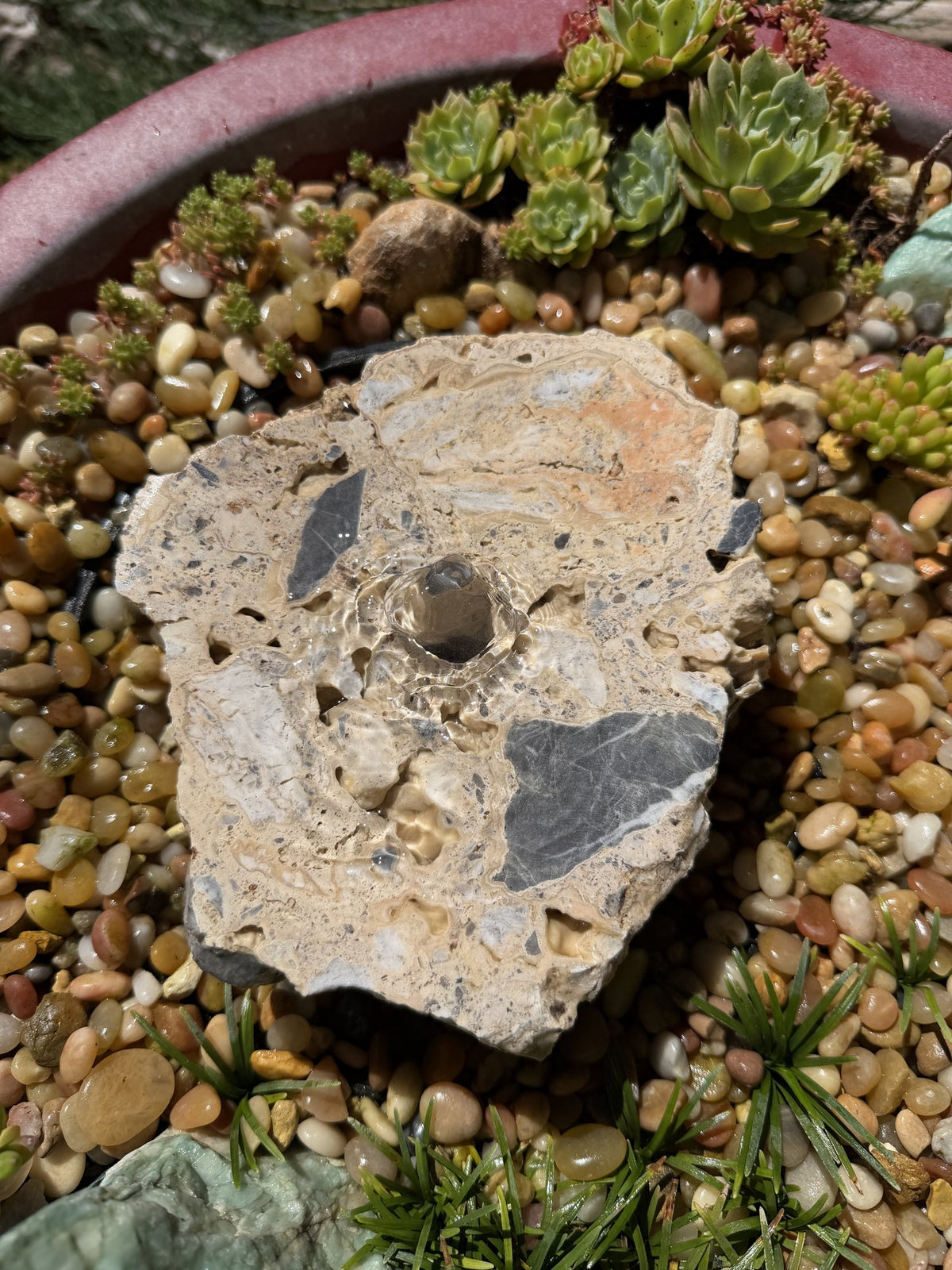 Drilled Rock Bird Bath Fountain - Natural Bubbling Stone for Hummingbirds (7"x6-1/2"x2-1/2")