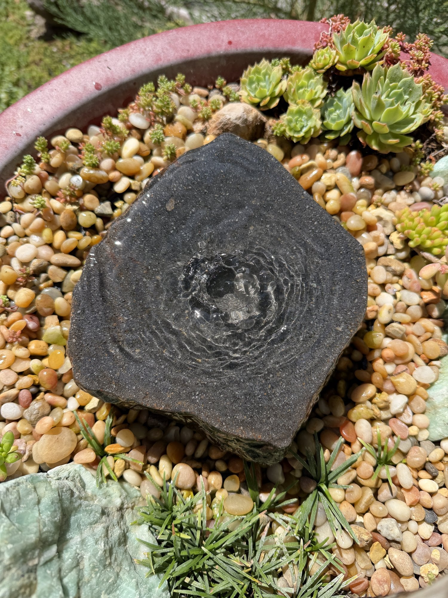 Drilled Rock Bird Bath Fountain - Natural Bubbling Stone for Hummingbirds (7"x6-1/2"x2")