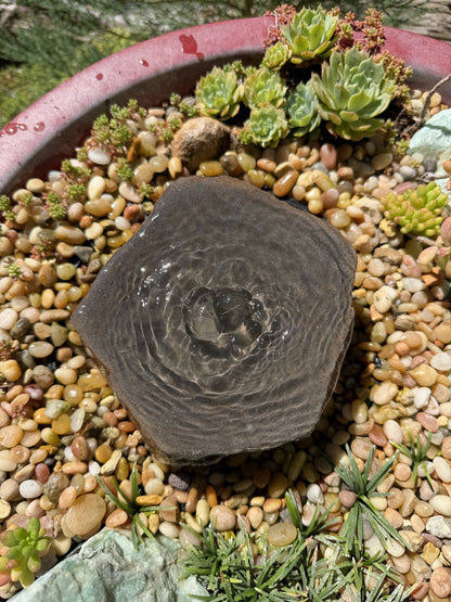 Drilled Rock Bird Bath Fountain - Natural Bubbling Stone for Hummingbirds (6-1/2"x6"x2-1/2") II