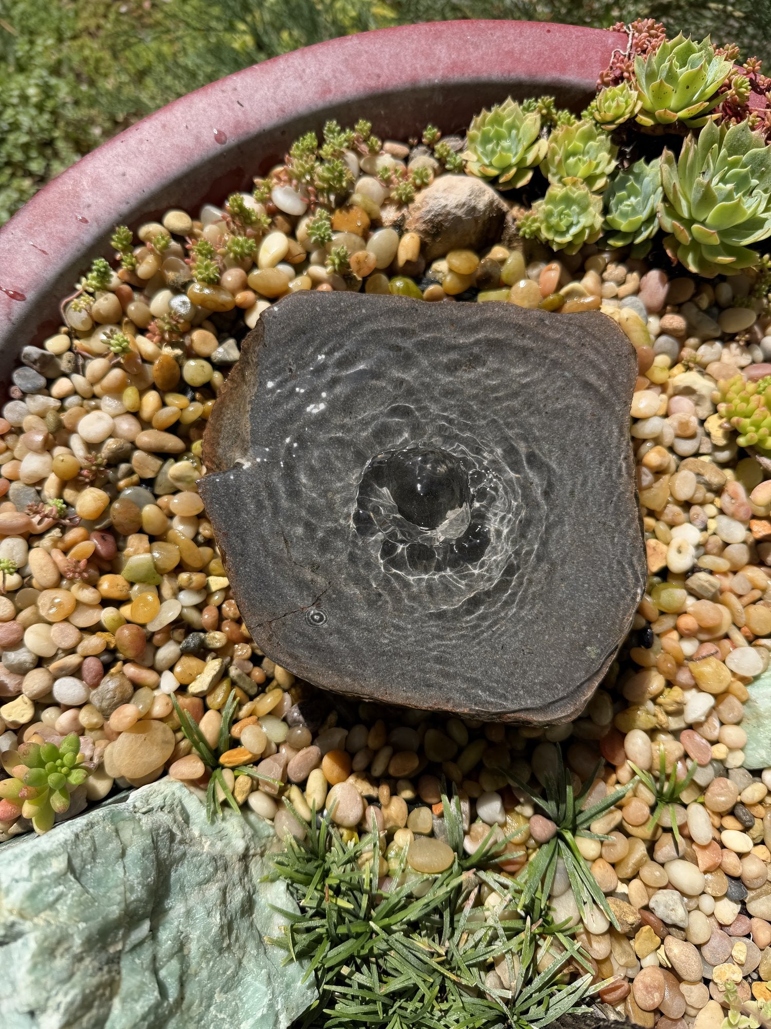Drilled Rock Bird Bath Fountain - Natural Bubbling Stone for Hummingbirds (6-1/2"x6"x2-1/2")
