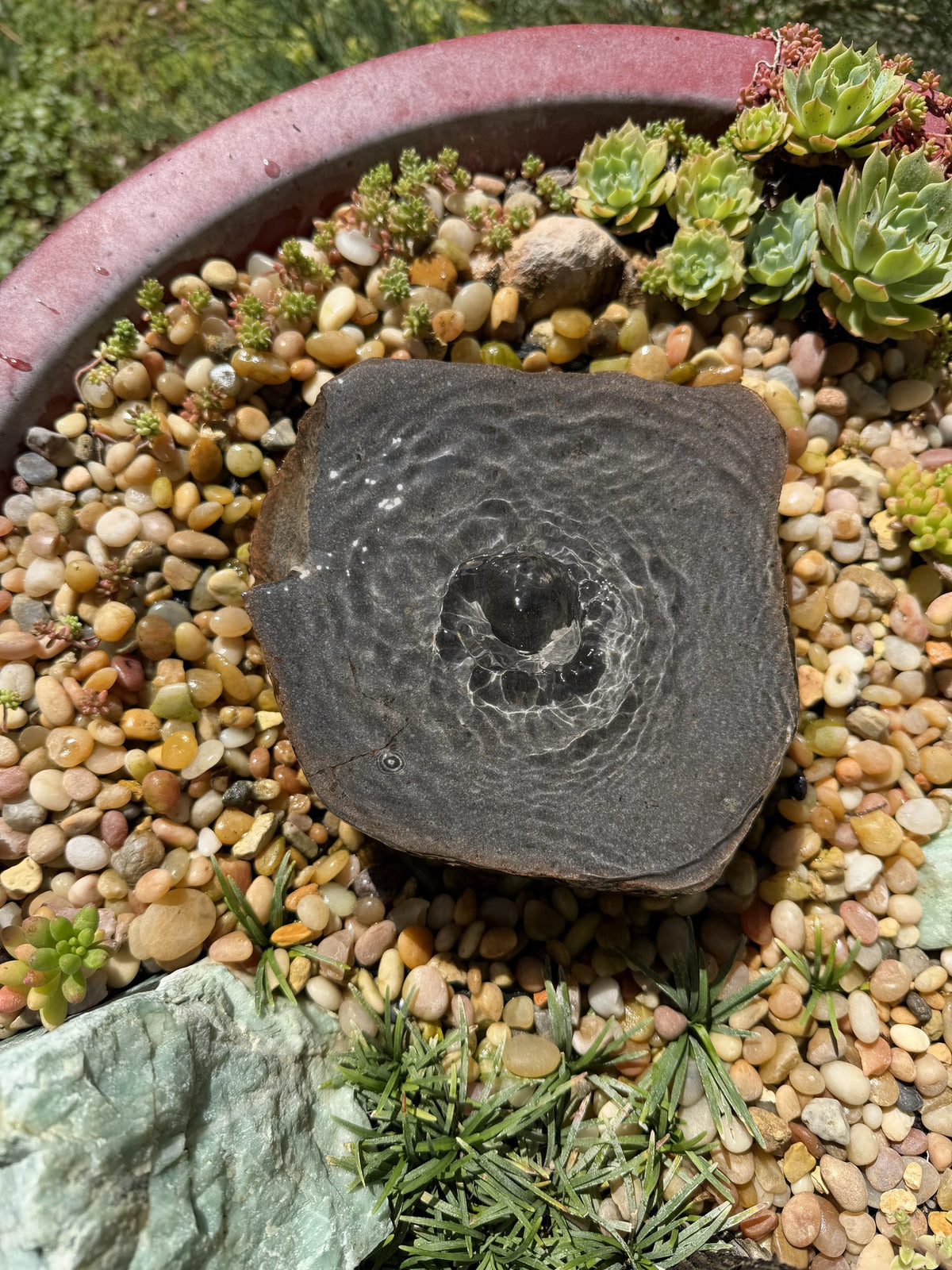 Drilled Rock Bird Bath Fountain - Natural Bubbling Stone for Hummingbirds (6-1/2"x6"x2-1/2")