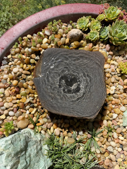 Drilled Rock Bird Bath Fountain - Natural Bubbling Stone for Hummingbirds (6-1/2"x6"x2-1/2")