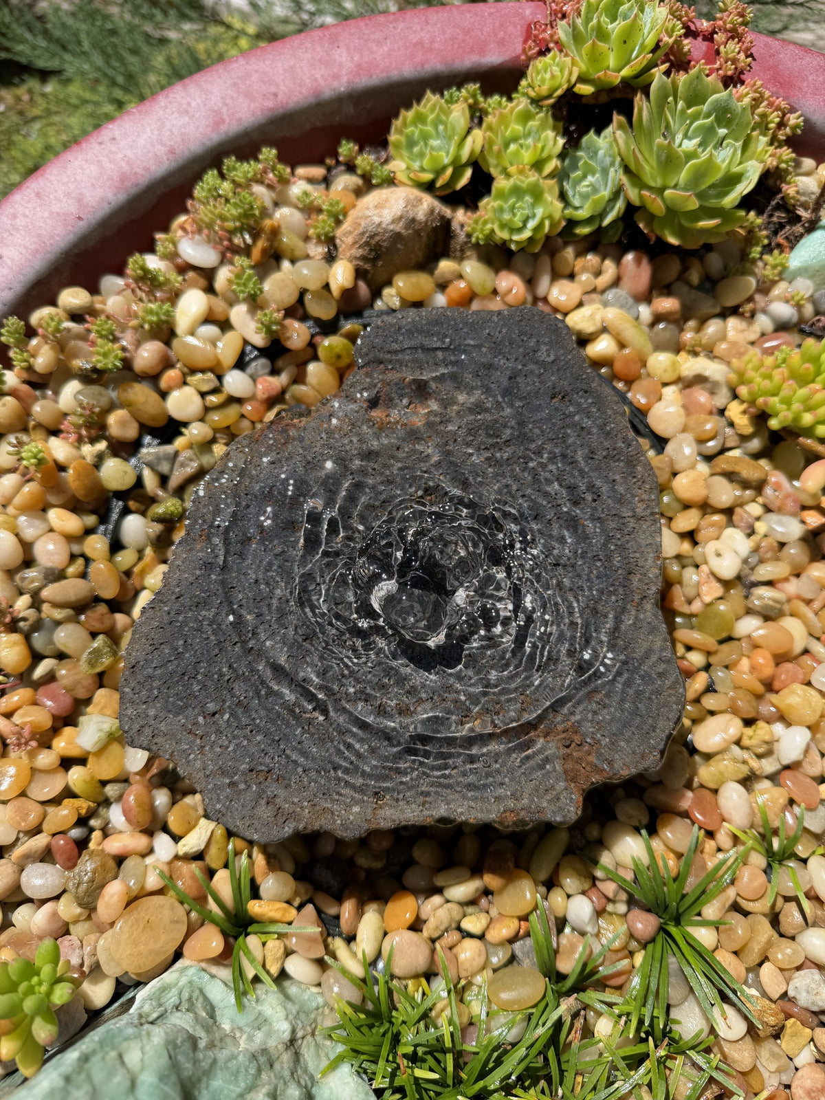 Drilled Rock Bird Bath Fountain - Natural Bubbling Stone for Hummingbirds (7"x6-1/2"x2") II