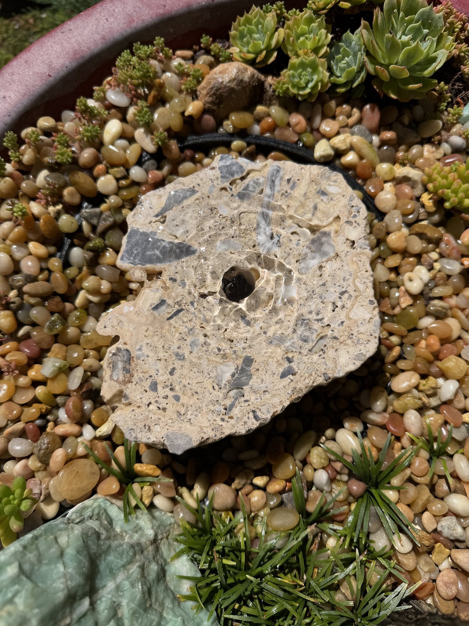 Drilled Rock Bird Bath Fountain - Natural Bubbling Stone for Hummingbirds (7"x6"x2")