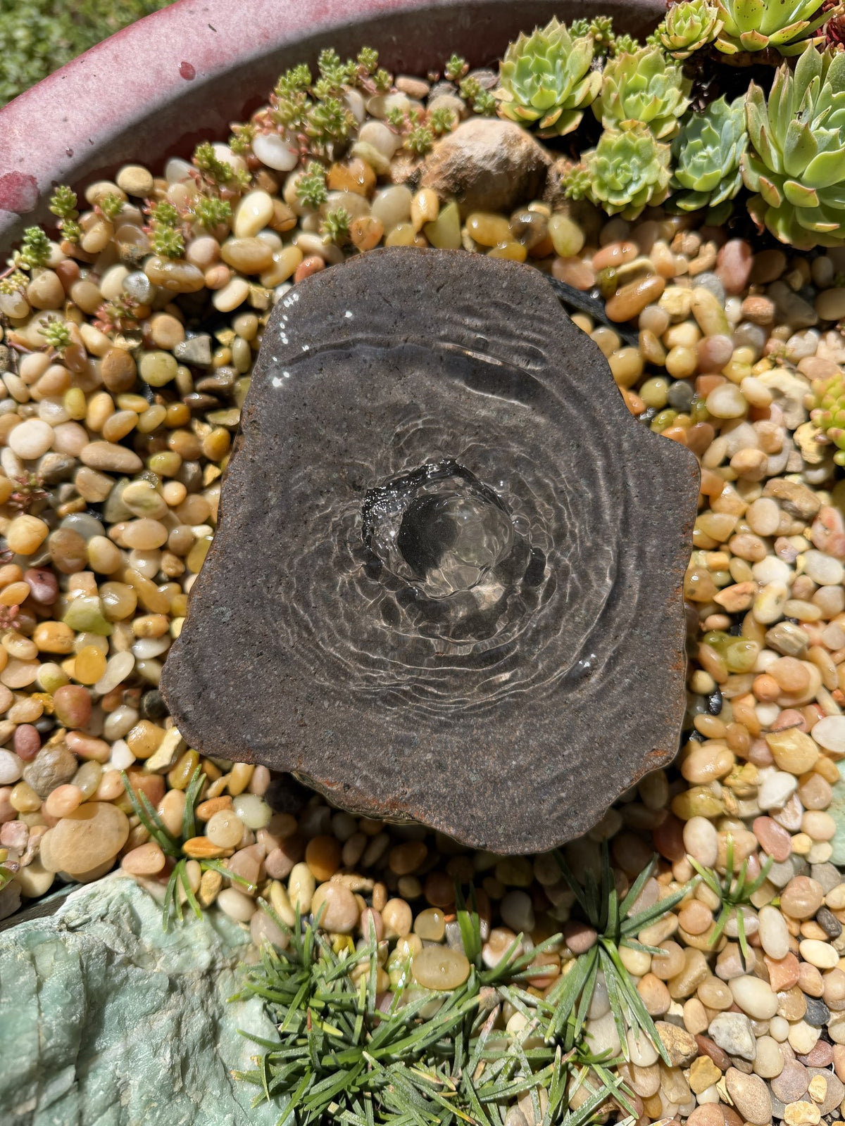 Drilled Rock Bird Bath Fountain - Natural Bubbling Stone for Hummingbirds (6-1/2"x5-1/2"x2-1/2")