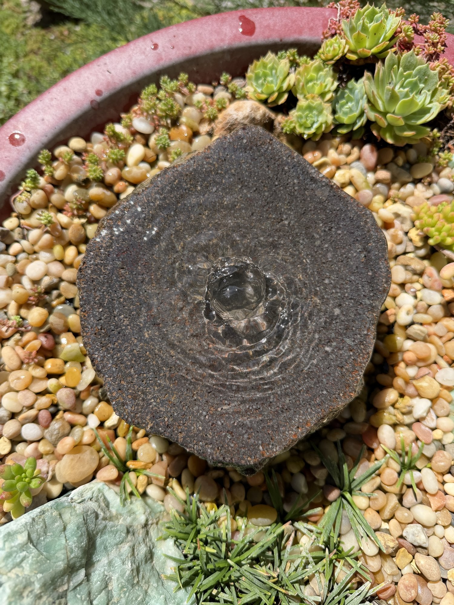 Drilled Rock Bird Bath Fountain - Natural Bubbling Stone for Hummingbirds (7-1/2"x7"x3")