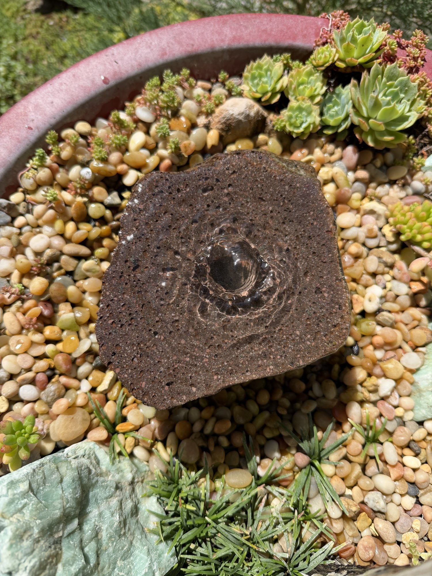 Drilled Rock Bird Bath Fountain - Natural Bubbling Stone for Hummingbirds (6"x6"x3")