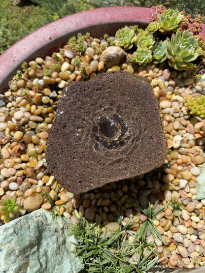 Drilled Rock Bird Bath Fountain - Natural Bubbling Stone for Hummingbirds (6"x6"x3")