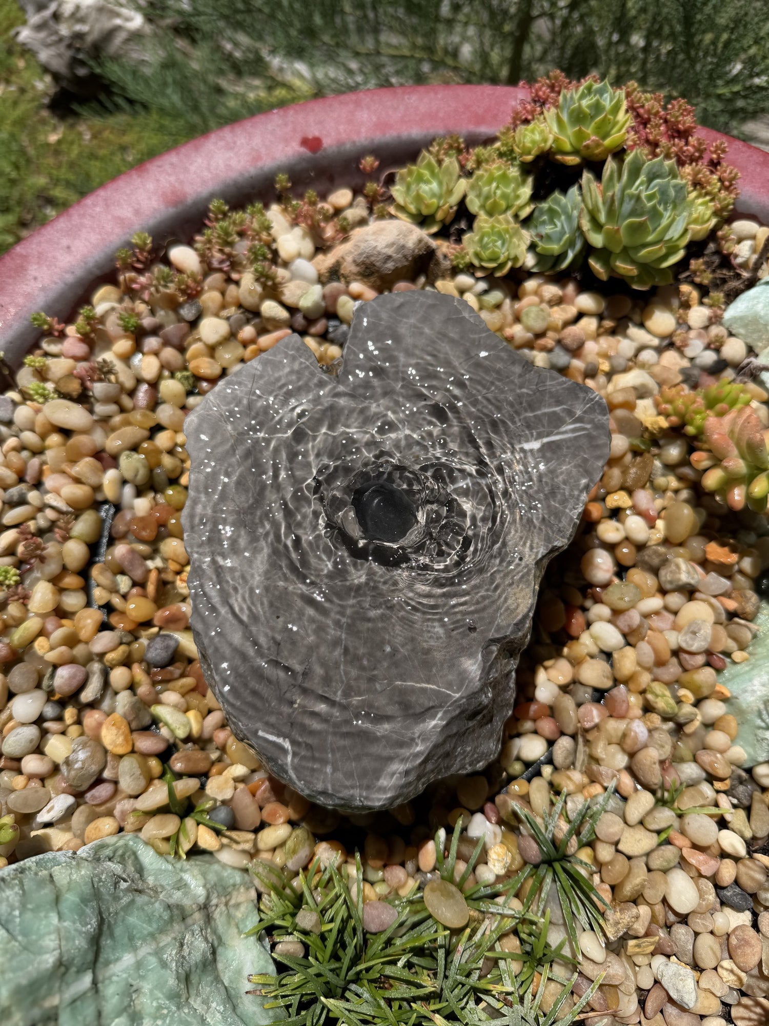 Hand-Polished River Stone Bird Bath - Smooth Polished Rock for a Bubbling Fountain (7"x6"x3")