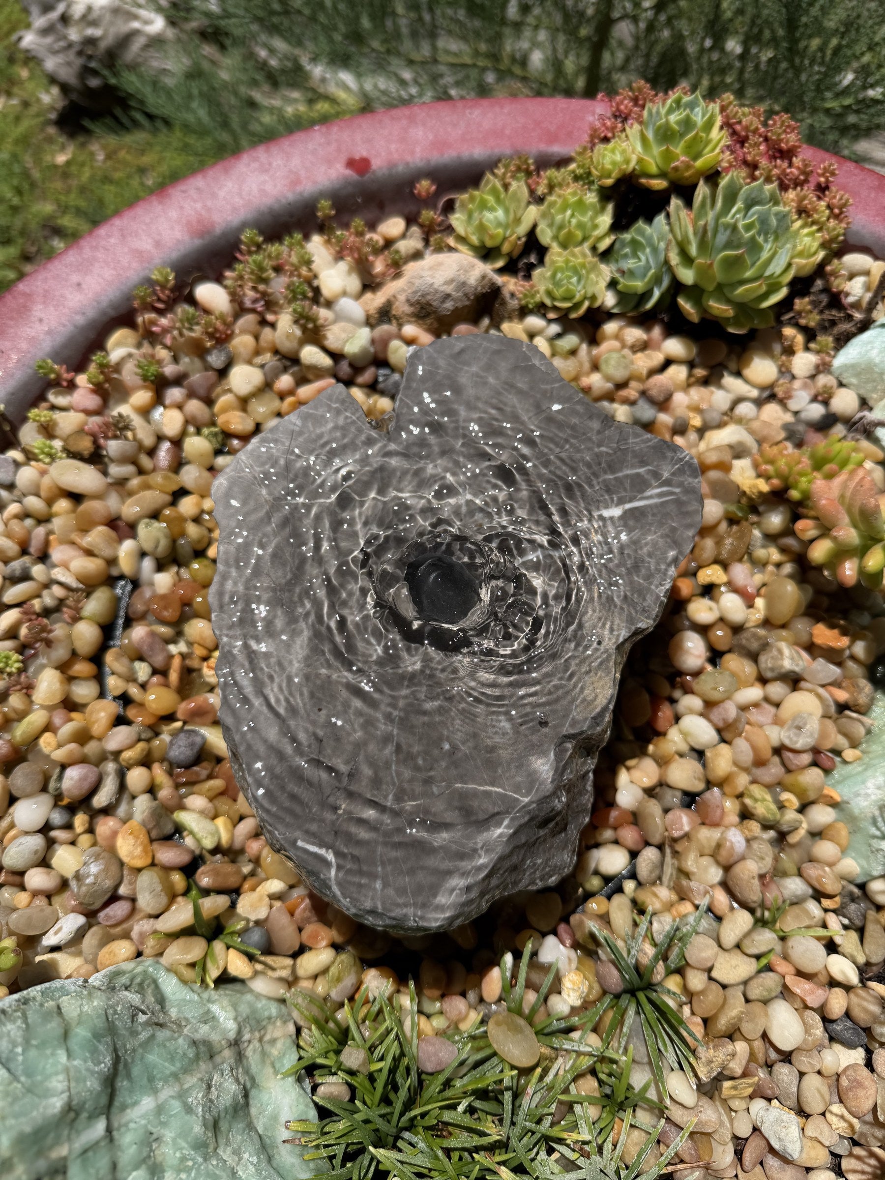 Hand-Polished River Stone Bird Bath - Smooth Polished Rock for a Bubbling Fountain (7"x6"x3")