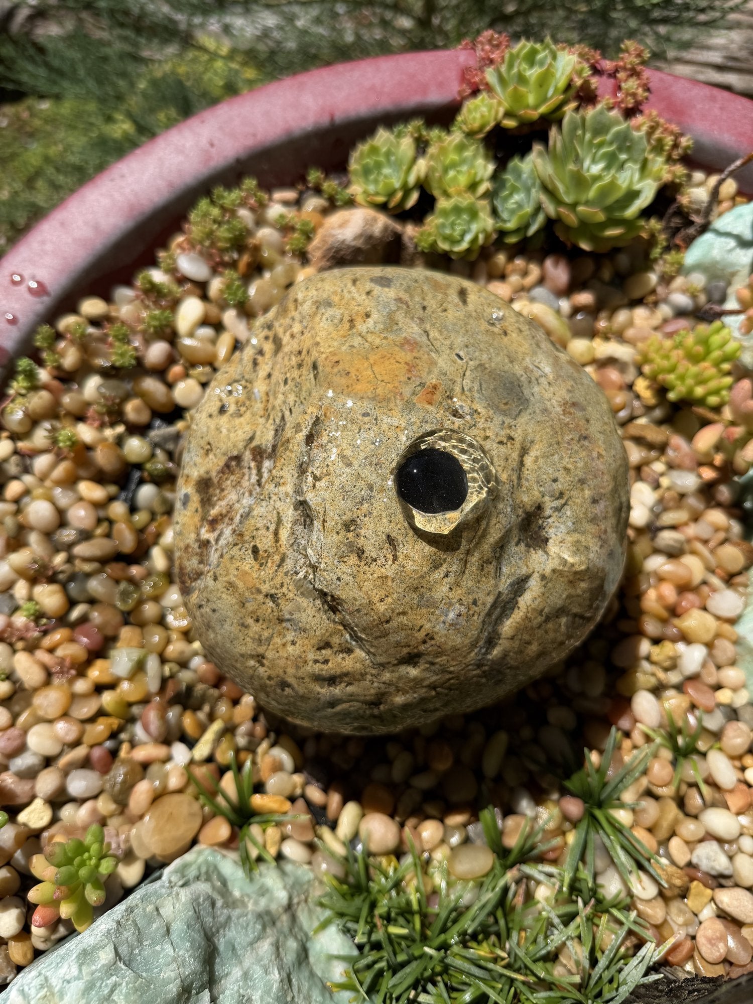 Natural Fountain Stone - River Rock Bird Bath for a Bubbling Water Fountain (6-1/2"x5")