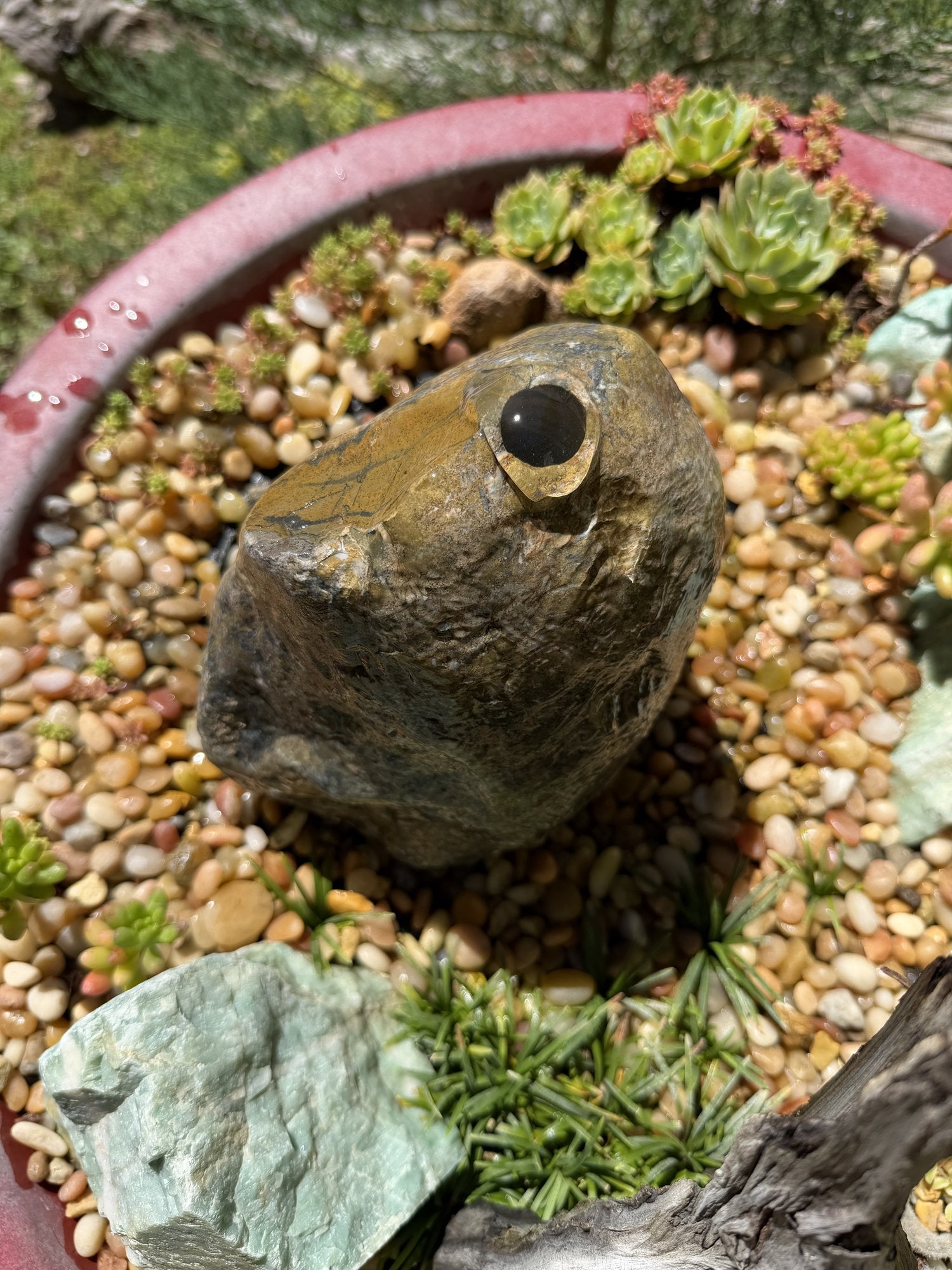 Natural Fountain Stone - River Rock Bird Bath for a Bubbling Water Fountain (6"x7")