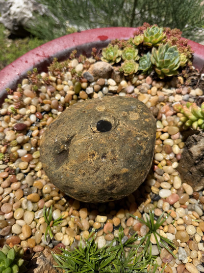 Natural Fountain Stone - River Rock Bird Bath for a Bubbling Water Fountain (6" tall)
