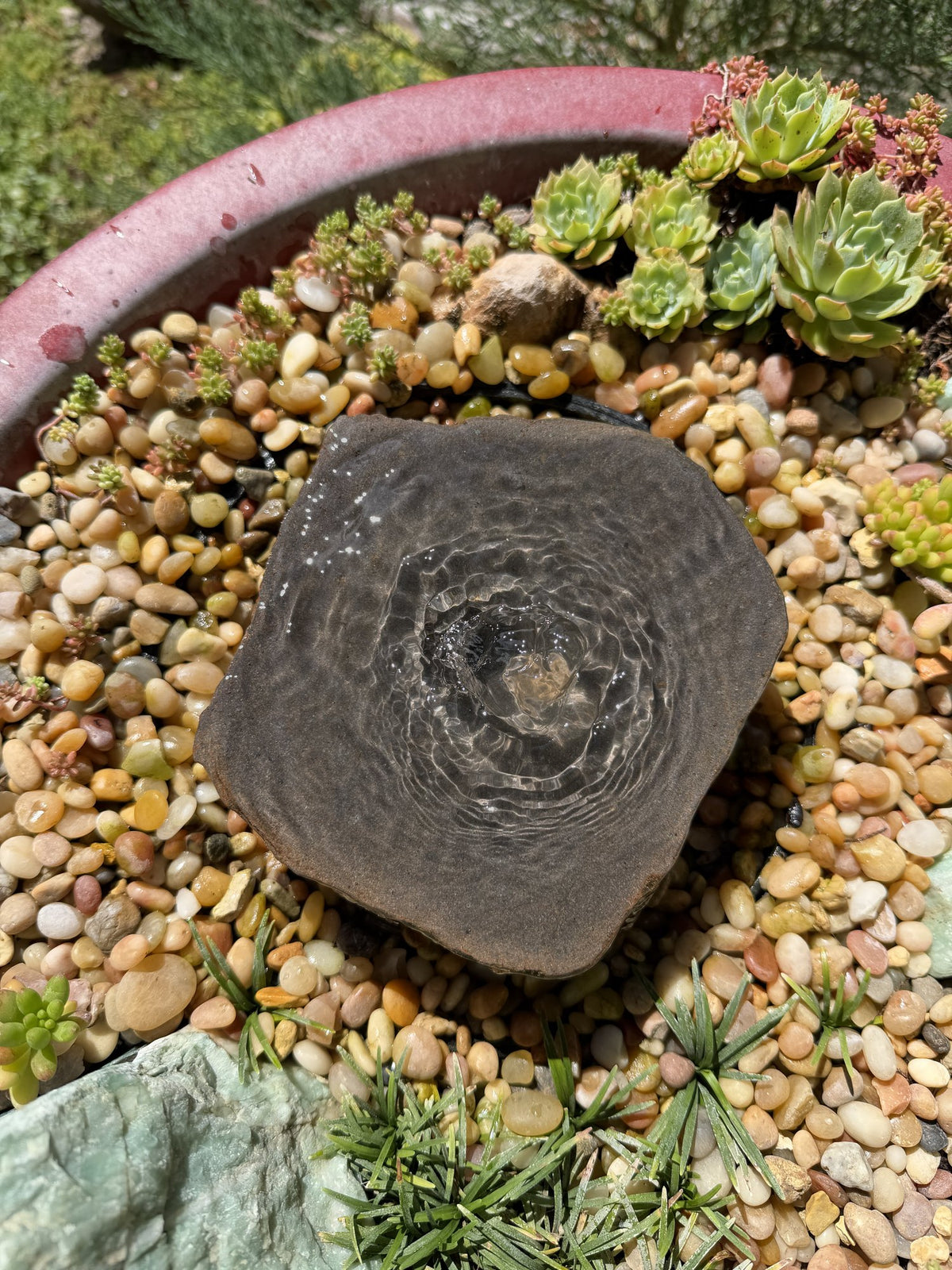 Drilled Rock Bird Bath Fountain - Natural Bubbling Stone for Hummingbirds (6-1/2"x6"x2")