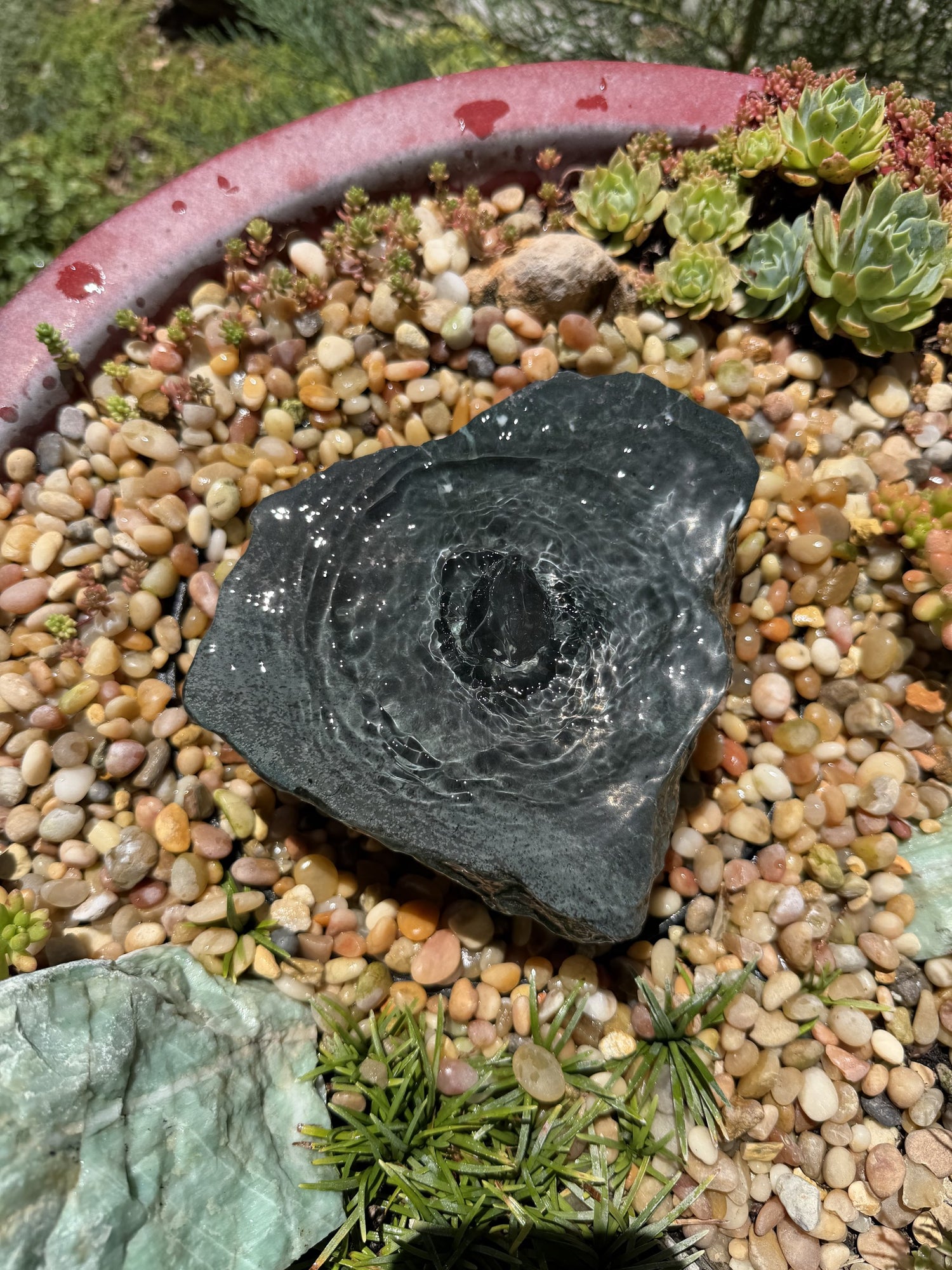 Hand-Polished Stone Bird Bath - Smooth River Rock for a Bubbling Fountain (6-1/2"x6"x2-1/2")