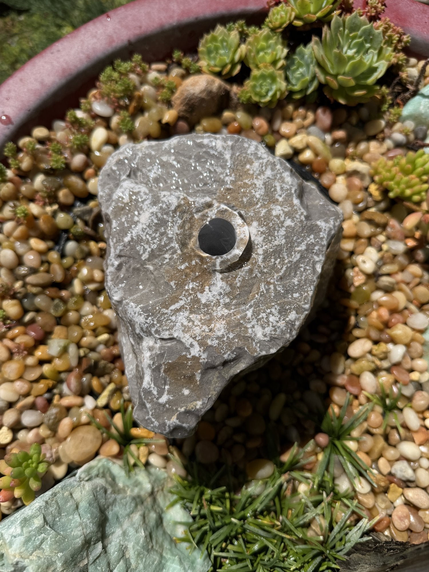 Natural Fountain Stone - River Rock Bird Bath for a Bubbling Water Fountain (7"x5-1/2")