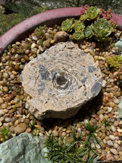 Drilled Rock Bird Bath Fountain - Natural Bubbling Stone for Hummingbirds (7"x6"x3")