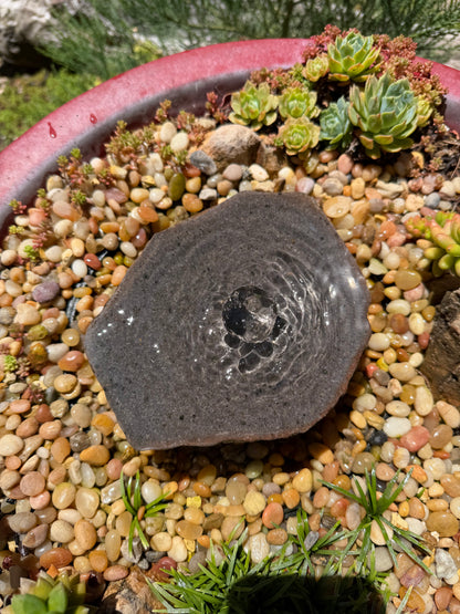 Hand-Polished Fountain Stone — 6-1/2"x6"x2" tall